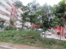 崇文名都 3室2厅 南