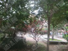 崇文名都2室2厅南北