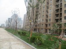 洸河新苑三室一厅一卫毛坯房可以任意装修