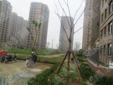 洸河新苑,电梯小高层,大四室,二梯二户,带储藏室