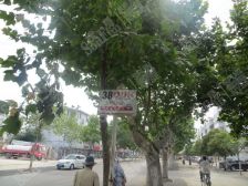 金茂康橋華居皇營東區 2室2厅 南 北