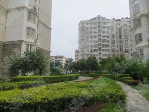 里能舜泰园3室2厅南北