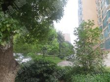 大地?都市春天5室2厅南