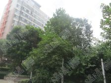 都市豪庭,毛坯,飞机户型楼层棒,地暖,随时看房