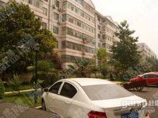 金泰花园 三室 含车位储 中间位置 精装