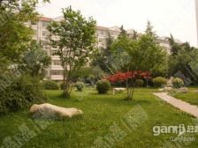 金泰花园单位房精装修出行方便