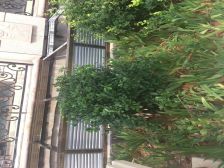 海景独栋,中式装修,基本没住。