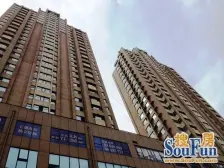 精装修住宅 南北向 电梯房 房龄新