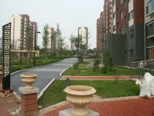 耳朵户型 小高层 公摊低 好楼层 有车位 小棚