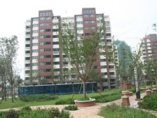 海晟花苑顶加阁带露台 海景毛坯房阁楼无低点南北通透