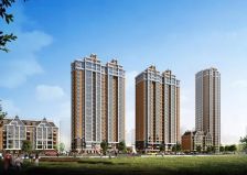 黑大芳洲园 2室1厅 南 北