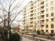 电梯洋房 好楼层 好位置 出行方便 交通便利 人车分流