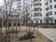 盟科时代格局好采光好屋里有装修中间楼层