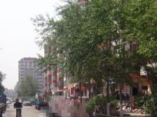 房子格局好 低楼层 采光好 不把冷山 封闭小区可以停车