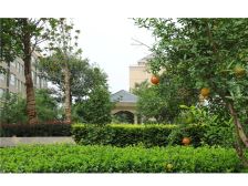 冠亚尚城 2室 河景房 证过二 看房方便