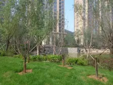 御景观城 3室1厅 南 北