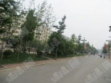 有车位储藏室 杨柳丽宫大观景阳台 四室 沿河观景