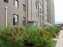 华南商圈 华东人家 交通便利 生活方便