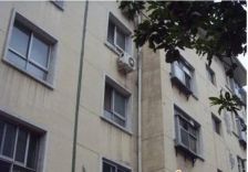 金霞别墅 8室2厅 南 北