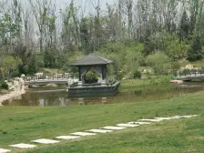 业主诚心出售..........