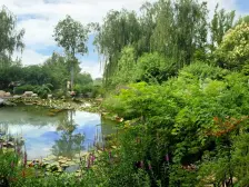 园博园双龙山旁,坡地伴山别墅;带南北大院子200平+