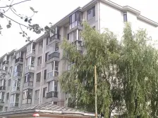 一楼有花园 有果树 梯田 南侧额外有一间房,采暖