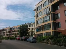 楼龄新 清水房随意装修 总房款低 南北两室