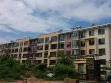 枫林绿洲 南北向 带电梯 标准两室一厅户型 价格可议