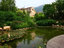 园博园,坡地伴山别墅.隐秘性好带南北大院子400+