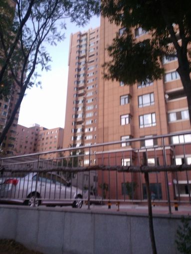  ��������԰1��1���ϳ���1600.00Ԫ/�³��� 