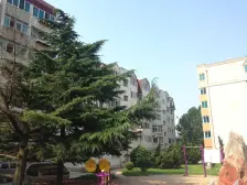 翠竹小区 跃层 采光好 朗和广场 红梅