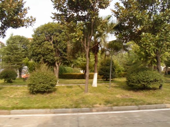 泰格林纸单位房实景图
