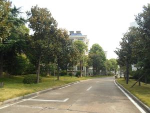 泰格林纸6室2厅南