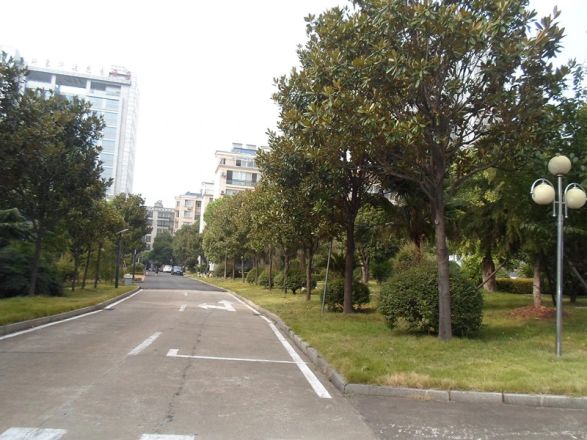 泰格林纸单位房实景图