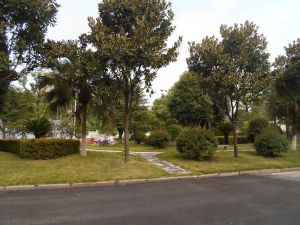 泰格林纸4室2厅南北