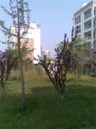 北于家小区实景图