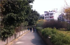 交大智能一期北苑3室1厅东北