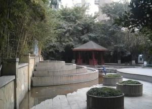 竹韵天府2室1厅东南
