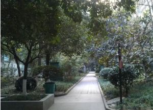 竹韵天府2室1厅东南