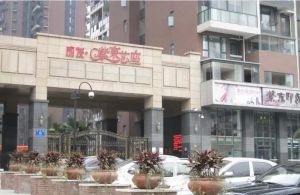 紫东芯座3室2厅东西