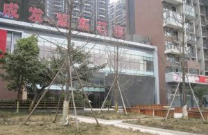 紫东芯座2室1厅南