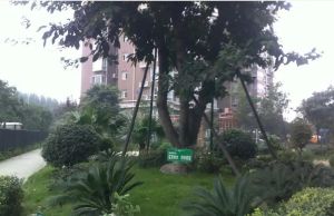 和谐家园2室2厅东南