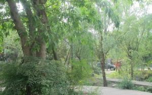 蓝山美树3室2厅东