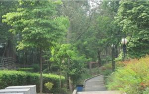 蓝山美树2室1厅南