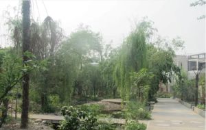 蓝山美树5室1厅东南