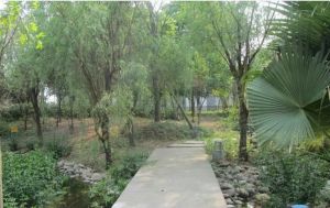 蓝山美树4室2厅东南