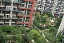 优品尚东 3室2厅 南