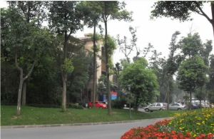 麓山国际塞尔维蒙 3室1厅 东南 南