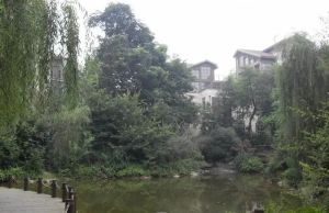 麓山国际塞尔维蒙 3室1厅 南