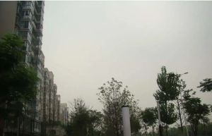融城后街1室1厅东南